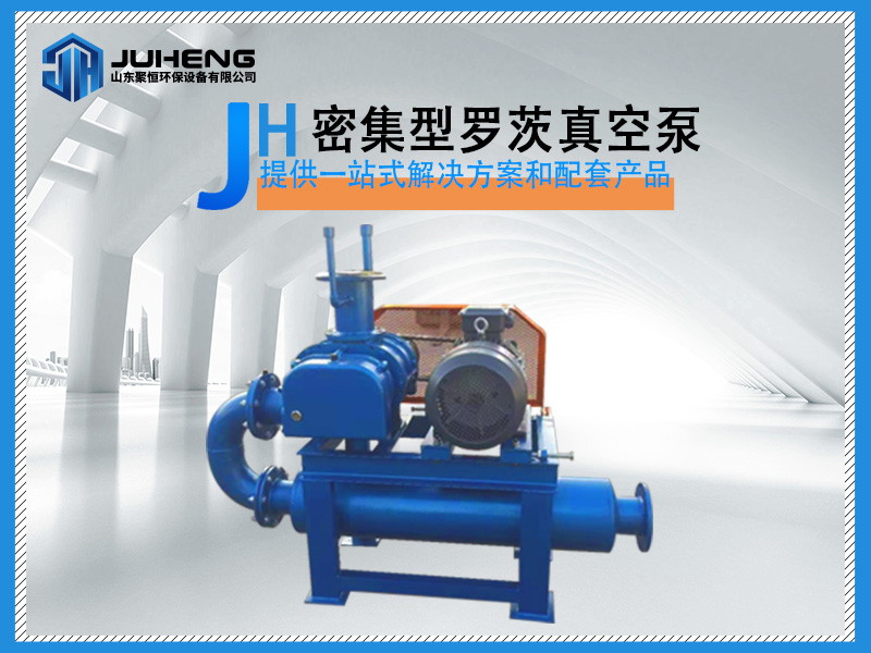 密集型羅茨風(fēng)機